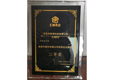 2020年优秀企业二等奖